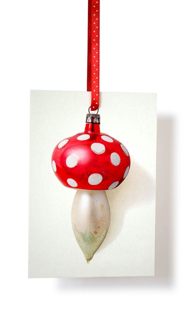 eco kerstkaart eco kerstkaart (van een kerstbal-paddestoel met rood kerstlint eraan)