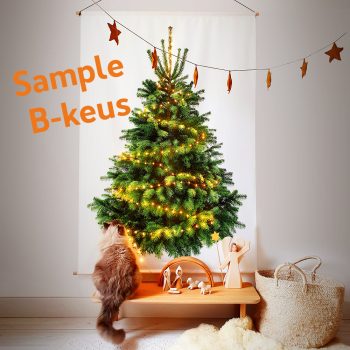 Kerstboom wandkleed met kat die naar de kerstboom kijkt